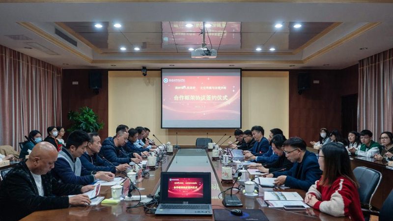 TVC广告片投放渠道对比：揭秘效果差异背后的秘密