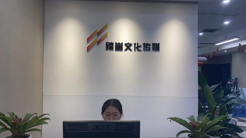 品牌设计公司设计费，揭秘其背后的考量因素